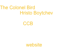 Teatro da Rainha's new production